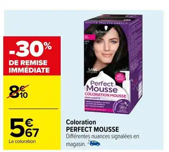 Carrefour Coloration PERFECT MOUSSE offre