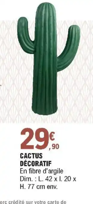E.Leclerc Cactus Décoratif offre