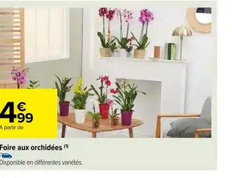 Carrefour Market Foire aux orchidées offre