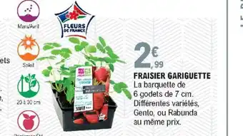 E.Leclerc Fraisier Gariguette offre