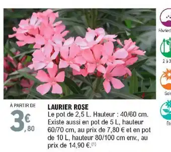 E.Leclerc Laurier Rose offre