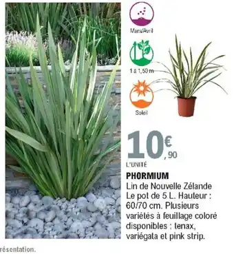 E.Leclerc Phormium offre