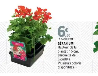 E.Leclerc Géranium offre