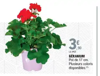 E.Leclerc Géranium offre