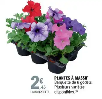 E.Leclerc Plantes à massif offre
