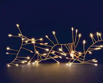 Jardiland Guirlande micro led blanc chaud grappe l.32 x l.22,5 x h.43 cm offre