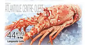 Cora x Carrefour Langouste cuite offre