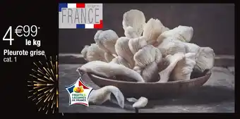 Cora x Carrefour Pleurote grise offre
