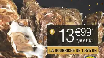 Huîtres fines de claire marennes oléron n°3