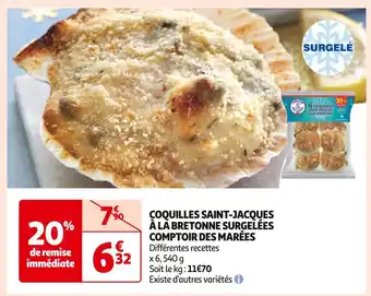 Comptoir des marées coquilles saint-jacques à la bretonne surgelées