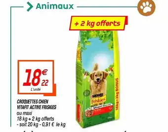 Netto Croquettes chien Vitafit Active Friskies offre