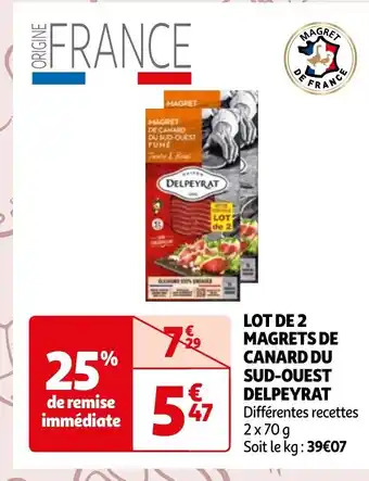 Auchan LOT DE 2 MAGRETS DE CANARD DU SUD-OUEST DELPEYRAT offre