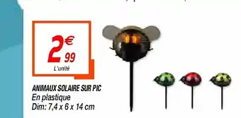 Netto Animaux solaire sur pic offre