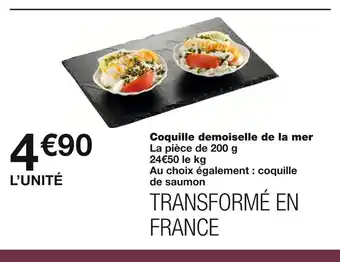 Coquille demoiselle de la mer