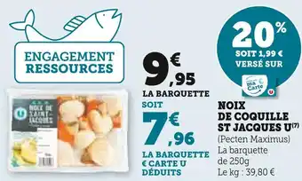 U Express U noix de coquille st jacques offre