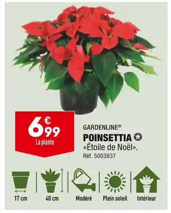ALDI Gardenline poinsettia offre