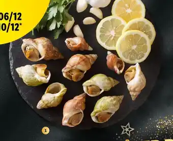 Lidl Bulots cuits pasteurisés offre