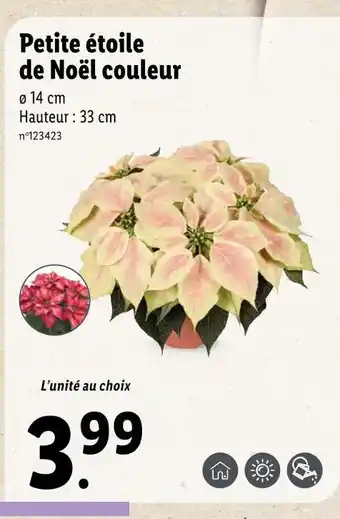 Lidl Petite étoile de noël couleur offre