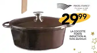 Stokomani Pradel france la cocotte fonte induction 4l offre