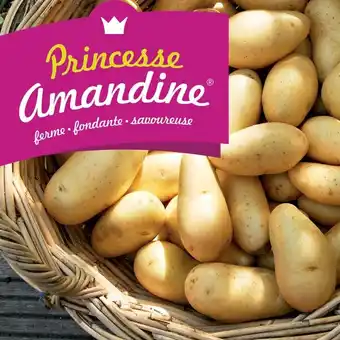 Carrefour Market Pommes de terre de consommation à chair ferme blanche offre
