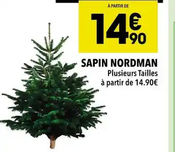 Supeco Sapin nordman offre