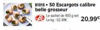 50 Escargots calibre belle grosseur