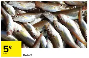Carrefour Merlan offre