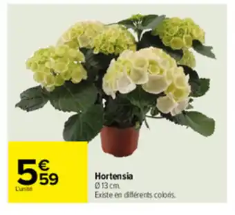 Carrefour Hortensia offre
