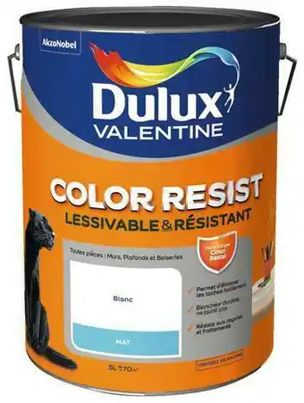 Brico Dépôt Peinture blanche acrylique aspect mat 5 l offre