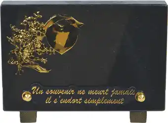 Centrakor La plaque granit rectangulaire offre