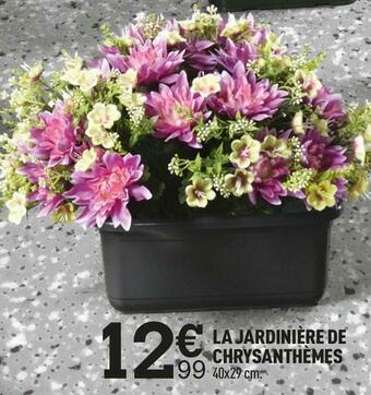 La jardinière de chrysanthèmes