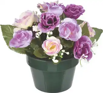 Centrakor La composition de 12 roses offre