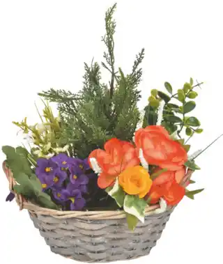 Centrakor Le panier en rotin de tuyas, begonias et azalées offre