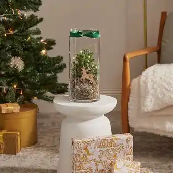 Carrefour Sans terrarium de noël offre