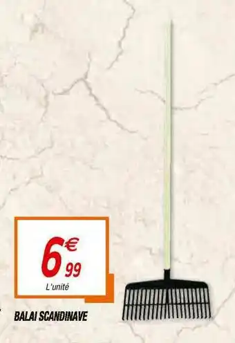 Netto Balai Scandinave offre
