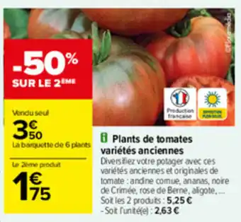 Plants de tomates variétés anciennes