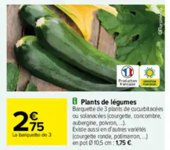 Carrefour Plants de légumes offre