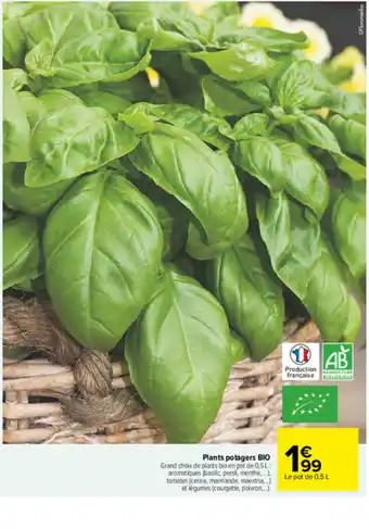 Carrefour Plants potagers BIO offre