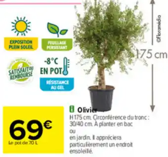 Carrefour Olivier offre