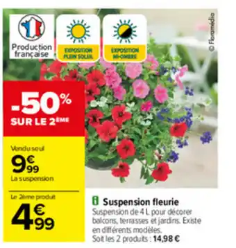 Carrefour Suspension fleurie offre