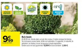 Carrefour Buis boule offre