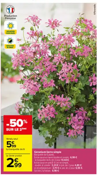 Carrefour Géranium lierre simple offre