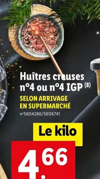 Huîtres creuses n°4 ou n°4 IGP (8)