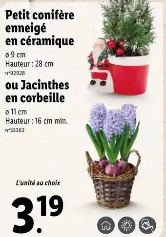 Lidl Petit conifère enneigé en céramique offre
