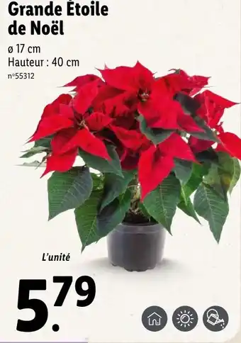 Lidl Grande Étoile de Noël offre