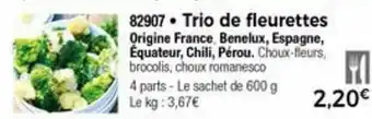 Trio de fleurettes