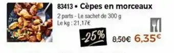 Thiriet Cèpes en morceaux offre