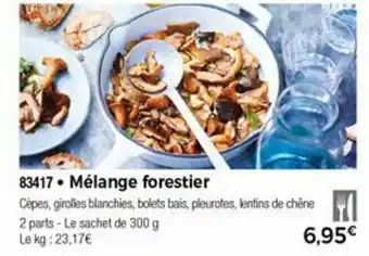 Mélange forestier