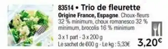Thiriet Trio de fleurette offre
