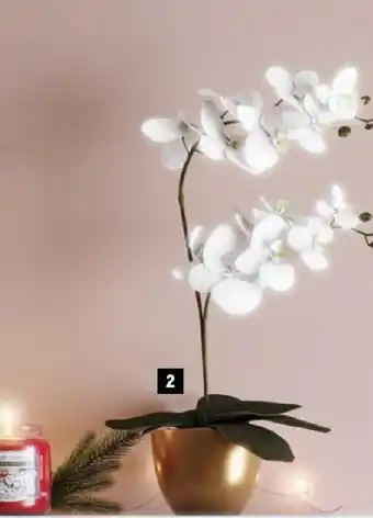 E.Leclerc ORCHIDEE ARTIFICIELLE DANS POT DORE offre